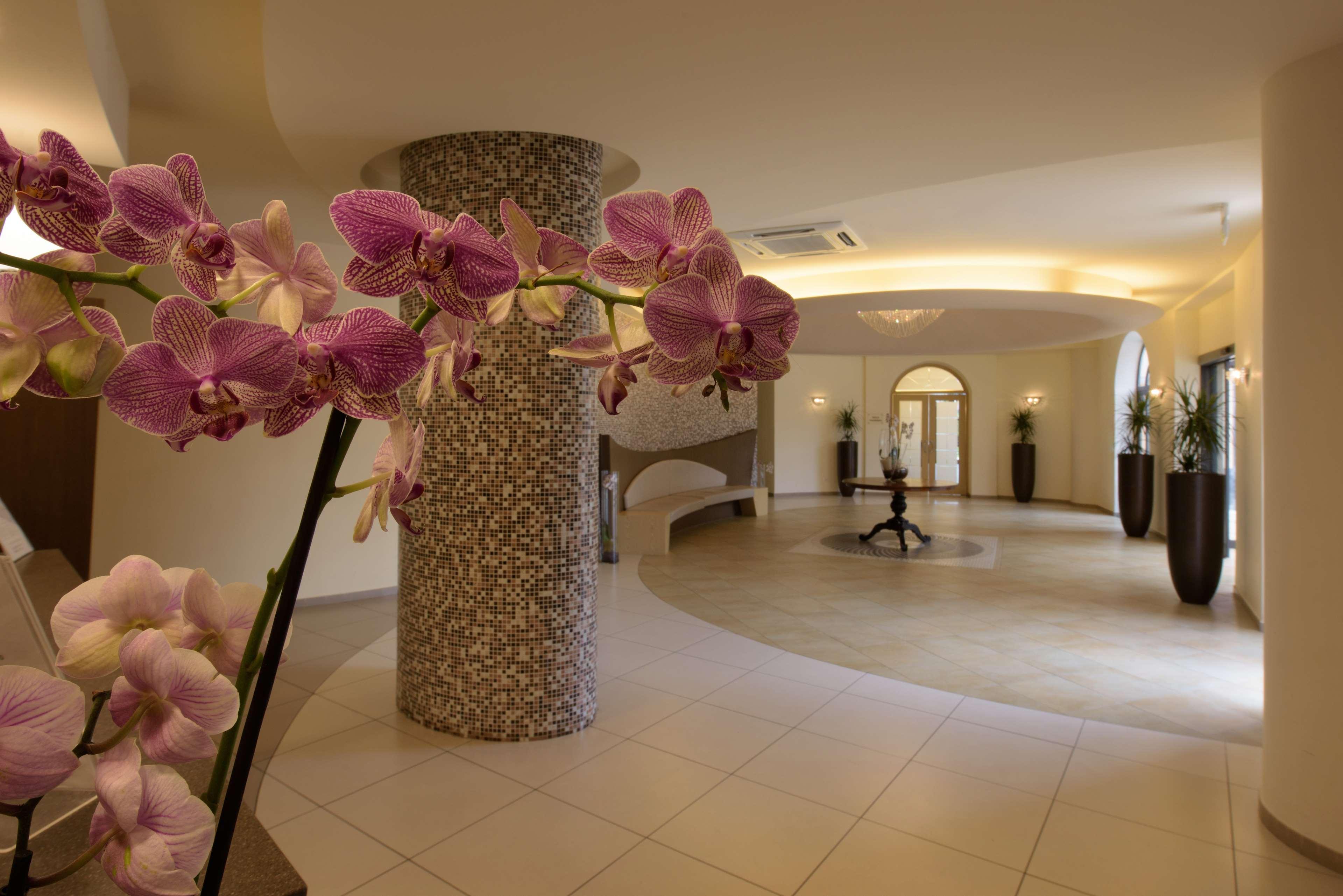 San Severino Park Hotel & Spa, BW Signature Collection Меркато-Сан-Северино Экстерьер фото